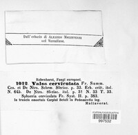 Image Associated With the Occurence